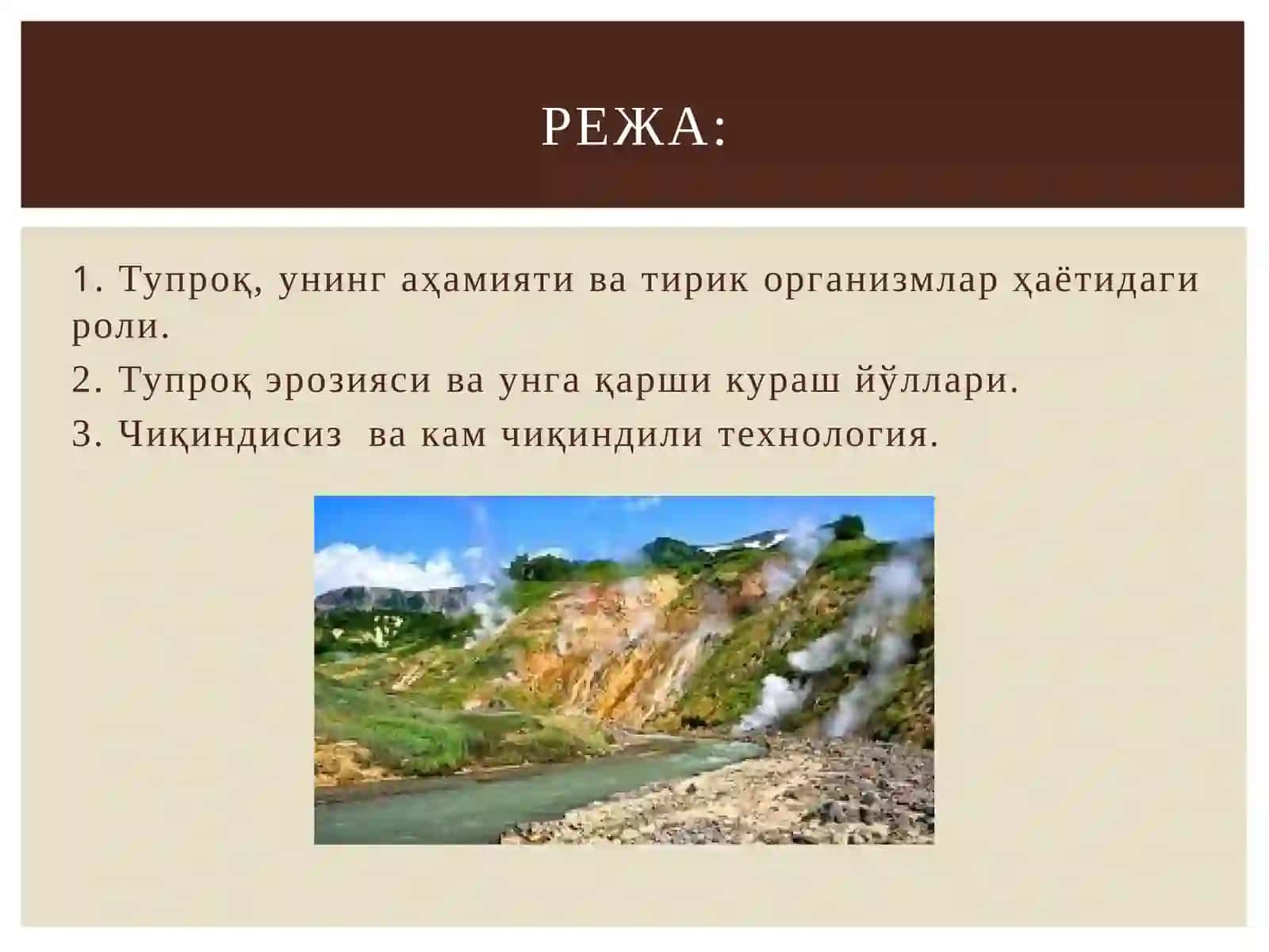 Тупроқ, унинг аҳамияти ва тирик организмлар ҳаётидаги роли 2
