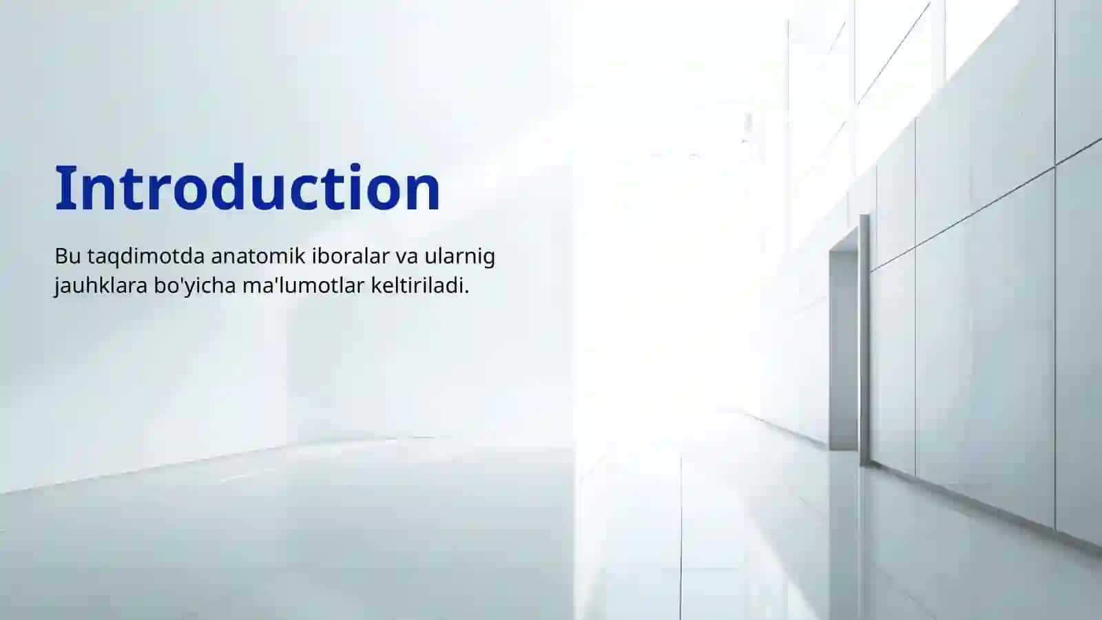 Anatomik Iboralar 2