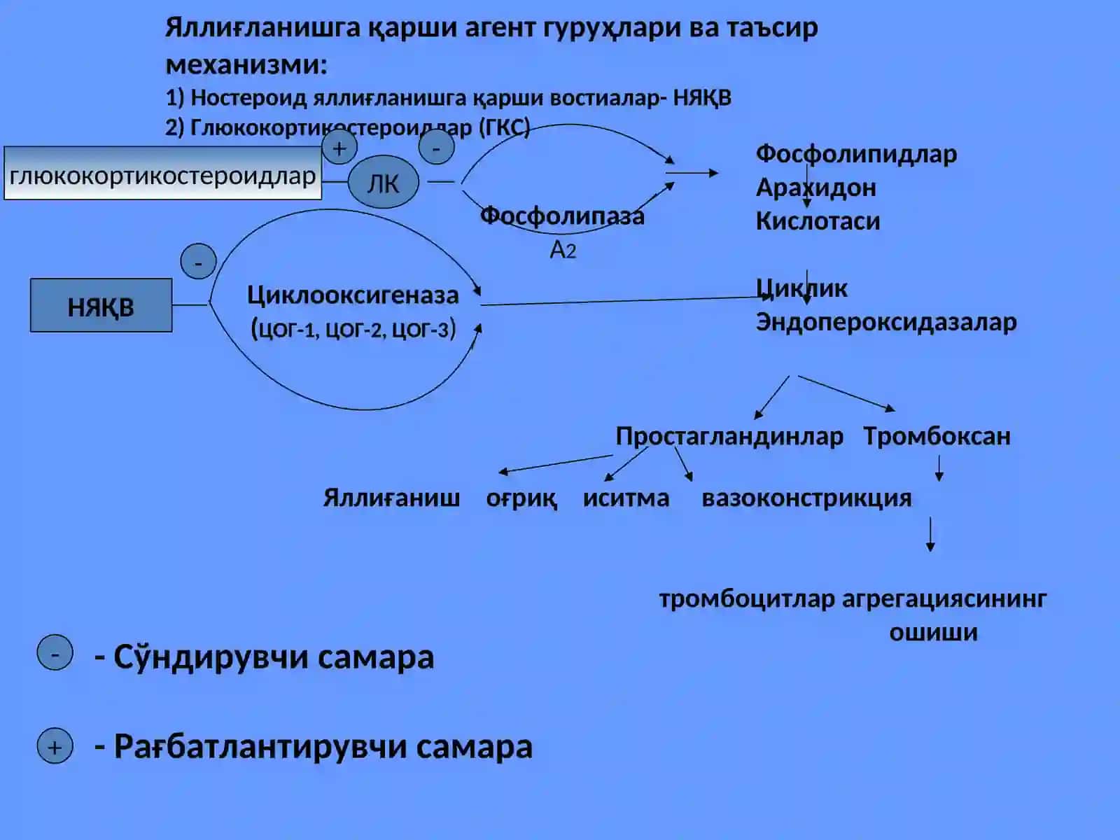 Яллиғланишга қарши воситалар 2