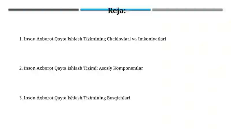 Inson Axborot Qayta Ishlash Tizimi 2