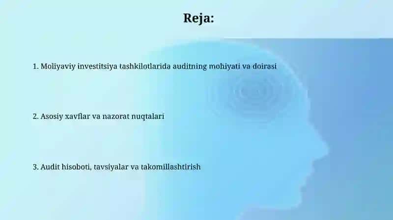 Moliyaviy Investitsiyalar xarakatib-nboʻgʻliq Muammo/Auditinitashetish 2