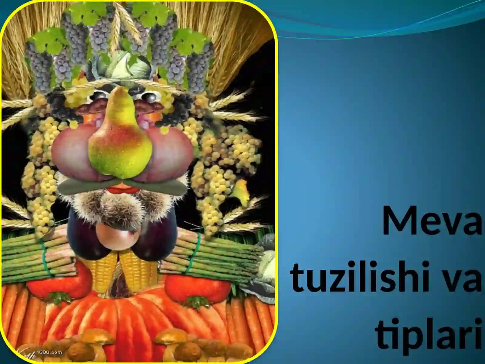 Meva tuzilishi vatiplari 2