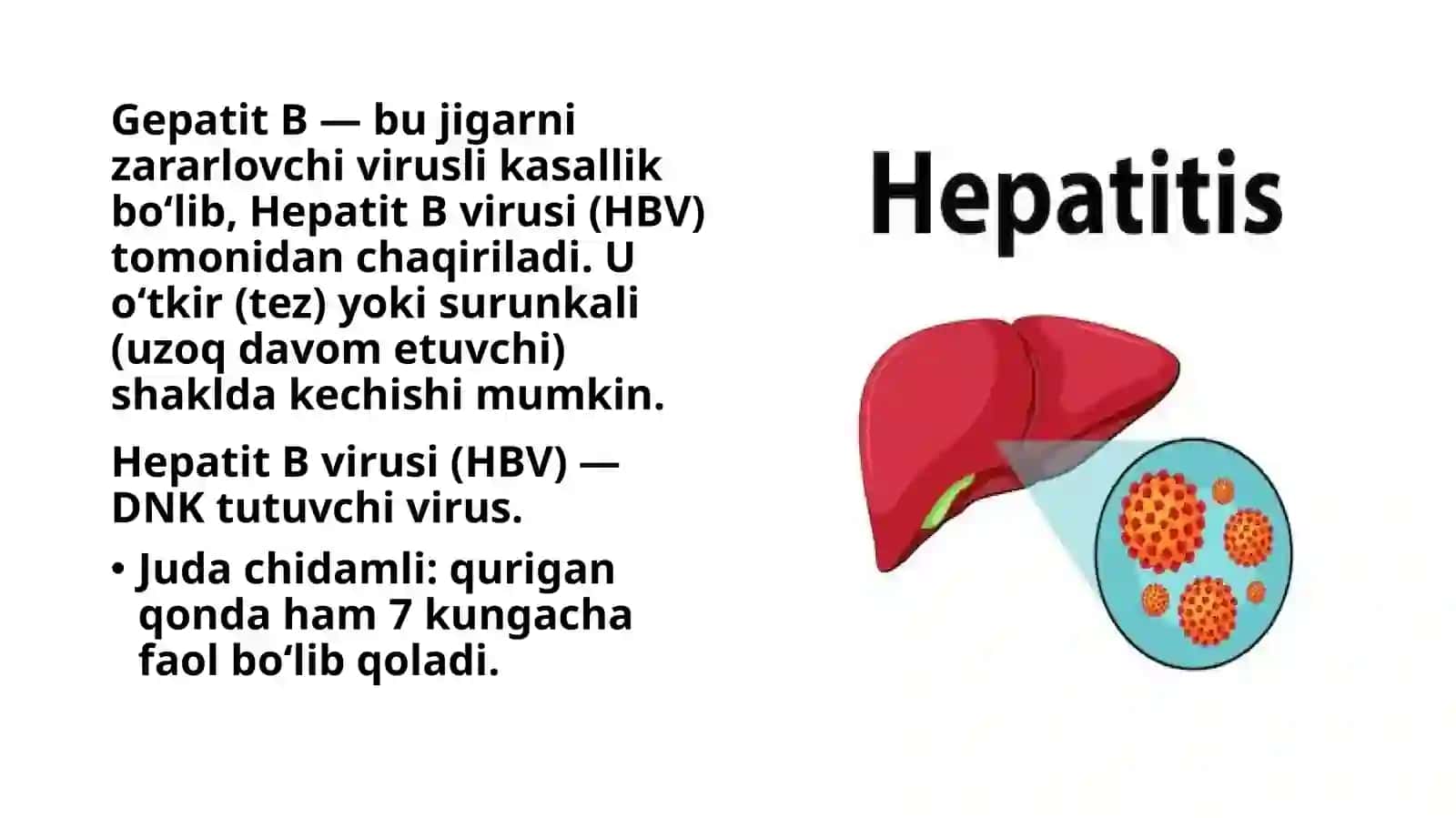 Gepatit "B" virusi 2