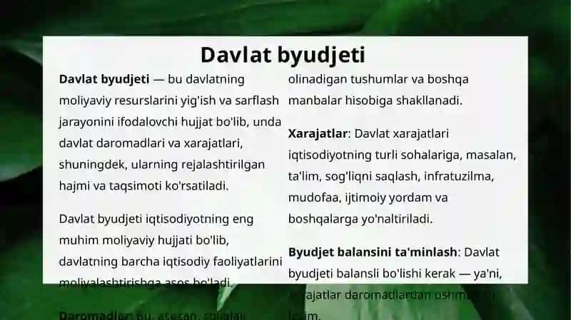 Davlat byudjeti 2