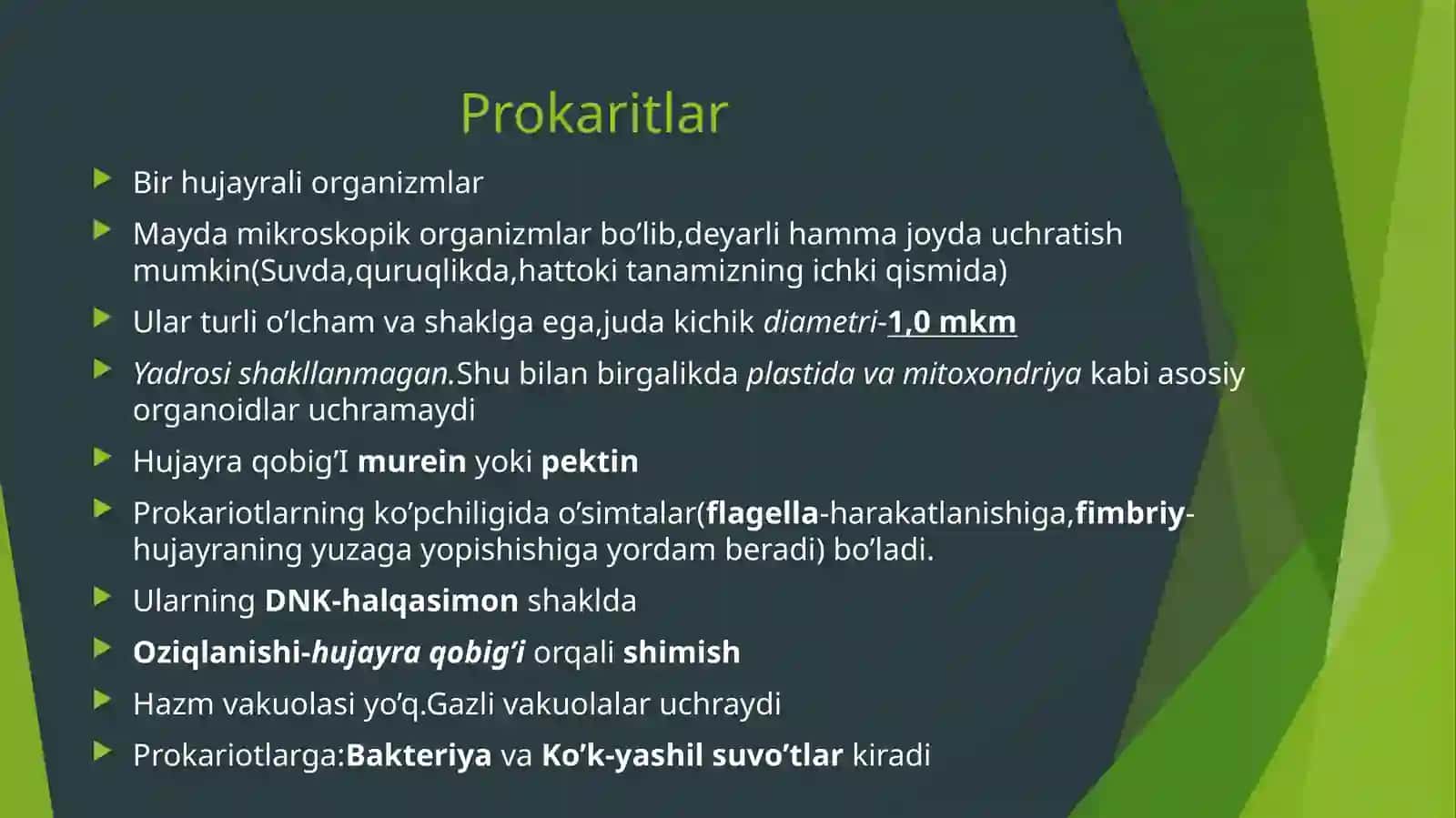 Prokariothujayralar 2