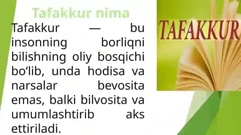 Tafakkur 2