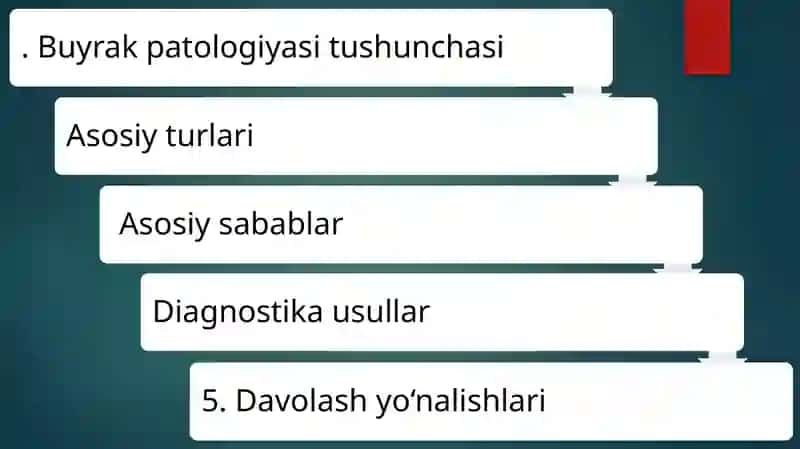 buyrak patalogiyasi 2