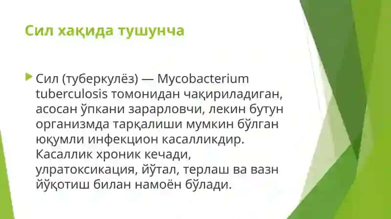 Sil (Tuberkulyoz) 2