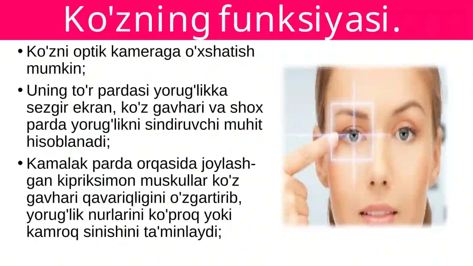 Ko'rish organlarining funksiyasi 2