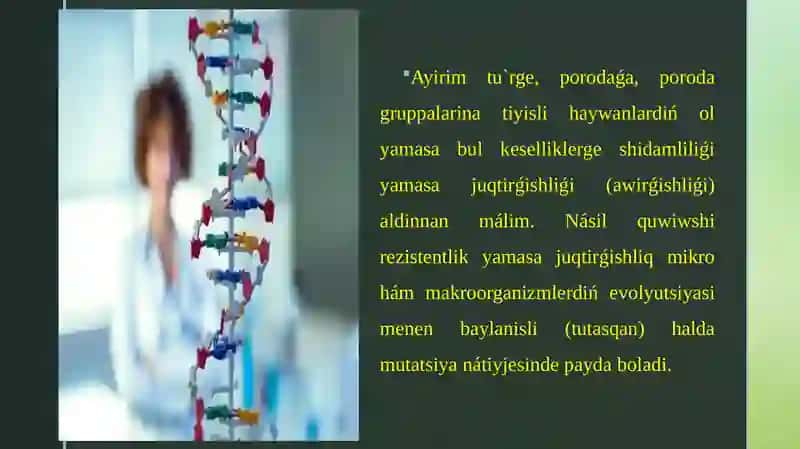 Sharwa Mallarda Xojalıq Qapaydalı Belgi 2