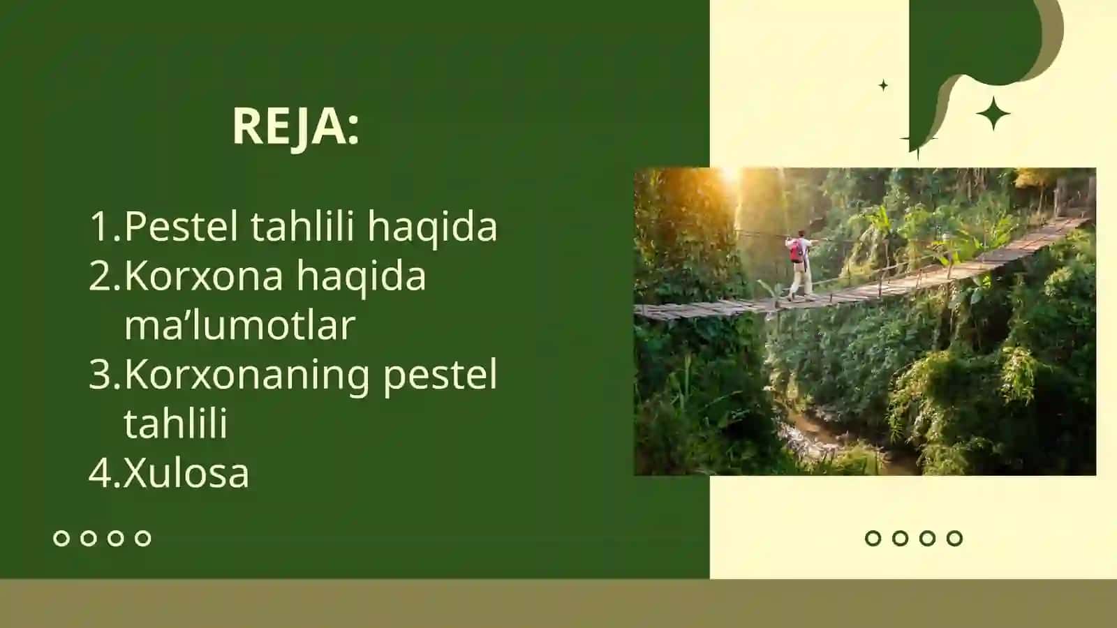 Pestel Tahlili (Tog' hududida ekologik turizm, piyoda sayrlar va an'anaviy ovqatlar bilan xizmat ko'rsatuvchi kichik qo'rg'on mehmonxonasi) 2