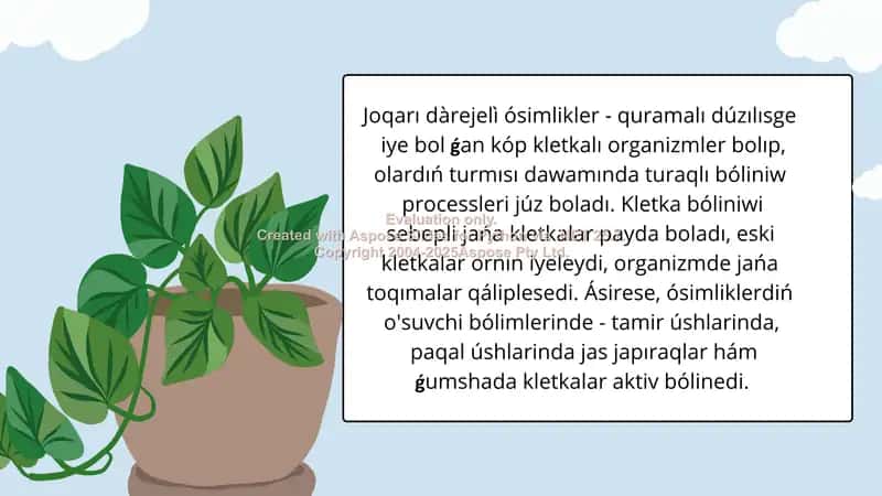 Joqarı dàrejelì ósimliklerde Mitoz hám Meyoz bóliniw usullariniń áhmiyeti 2