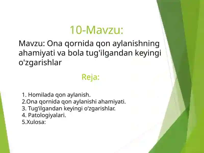 mustaqil ish 2