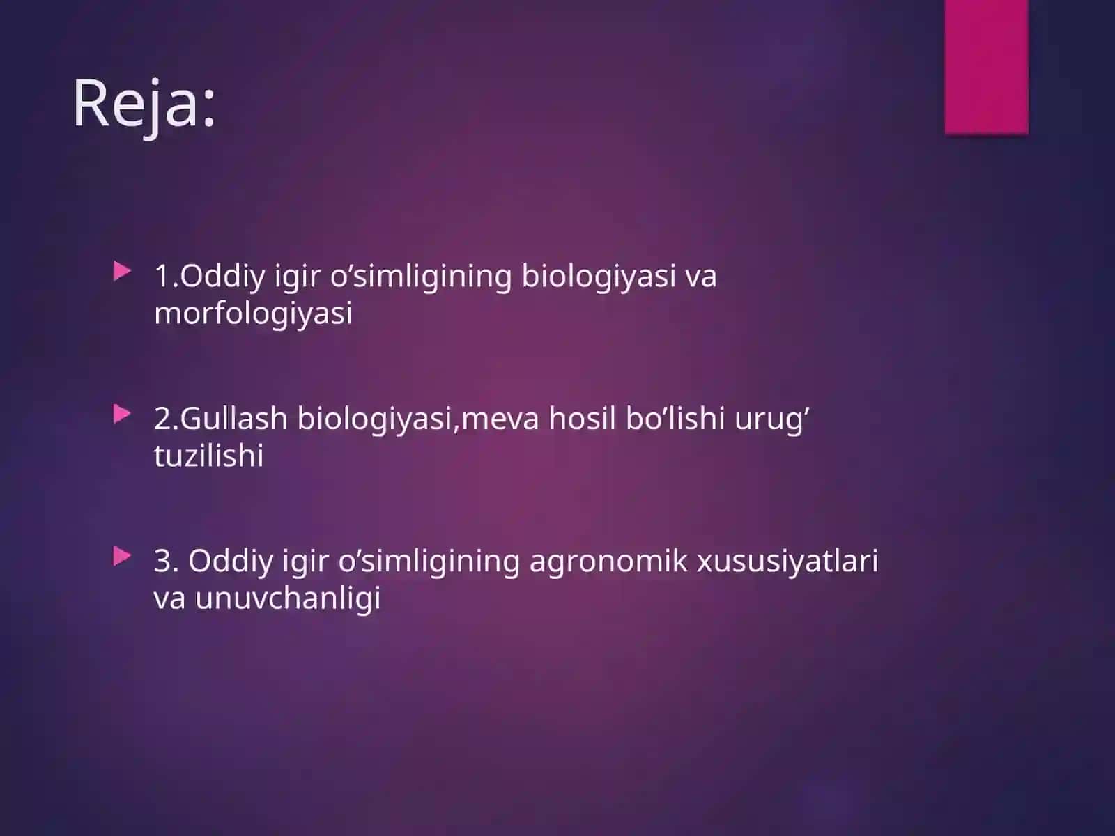 Oddiy Igir (Camelina sativa) 2