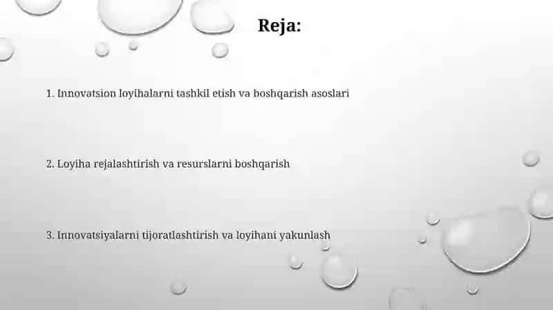 Innovatsion loyihalarni tashkil qilish va boshqarish 2