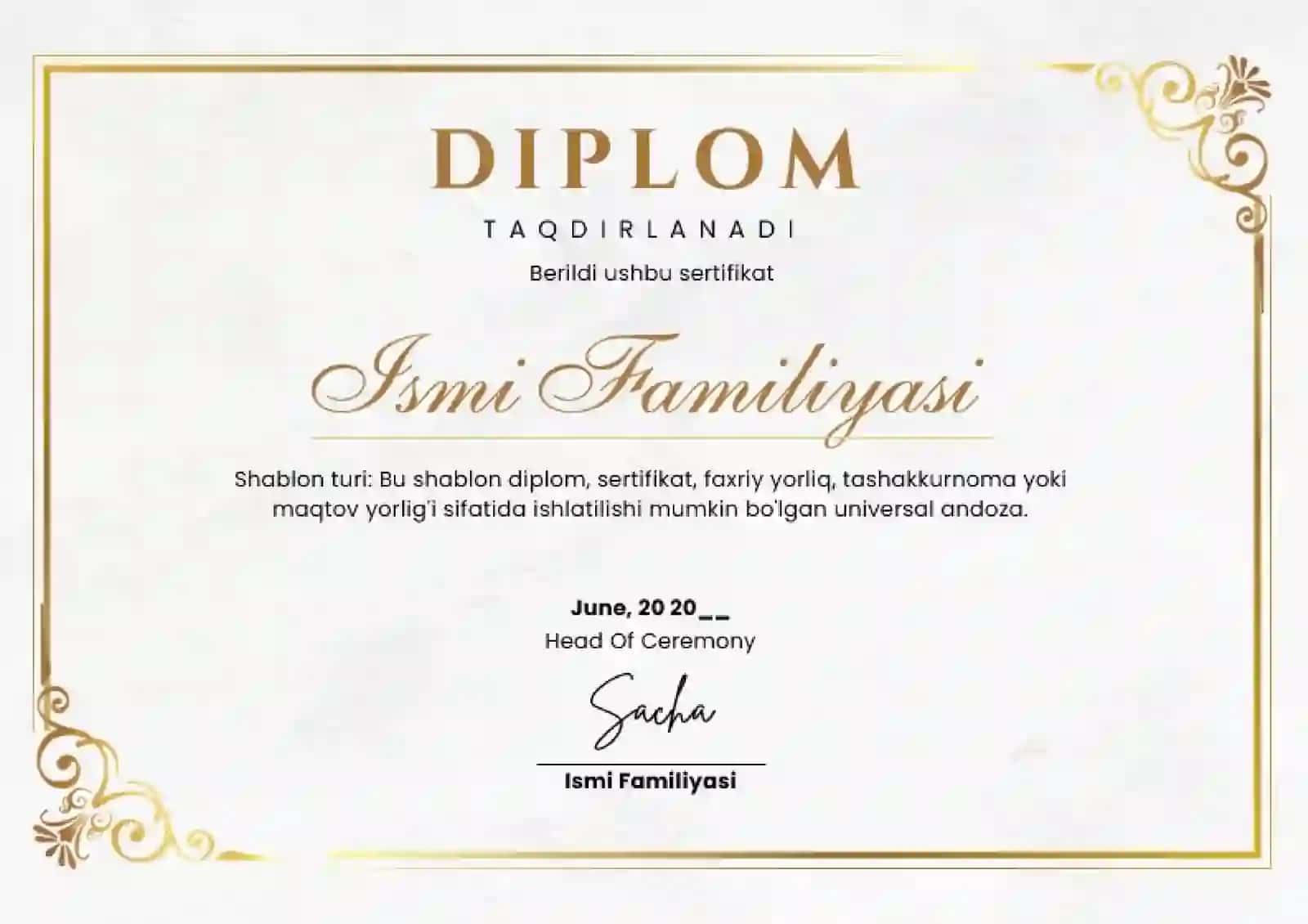 DIPLOM 2