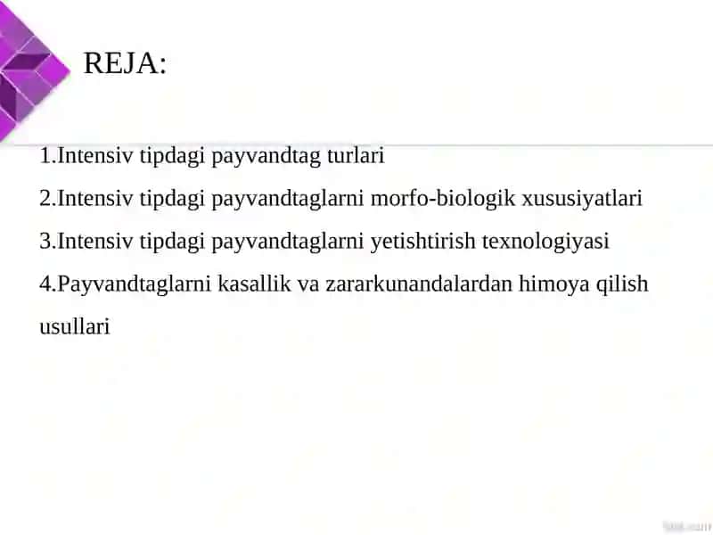 Ma’ruga: Vegetativ ko‘payadigan intensiv tipdagi payvand taglarini morfo-biologik xususiyatlari va yetishtirish texnologiyasi 2