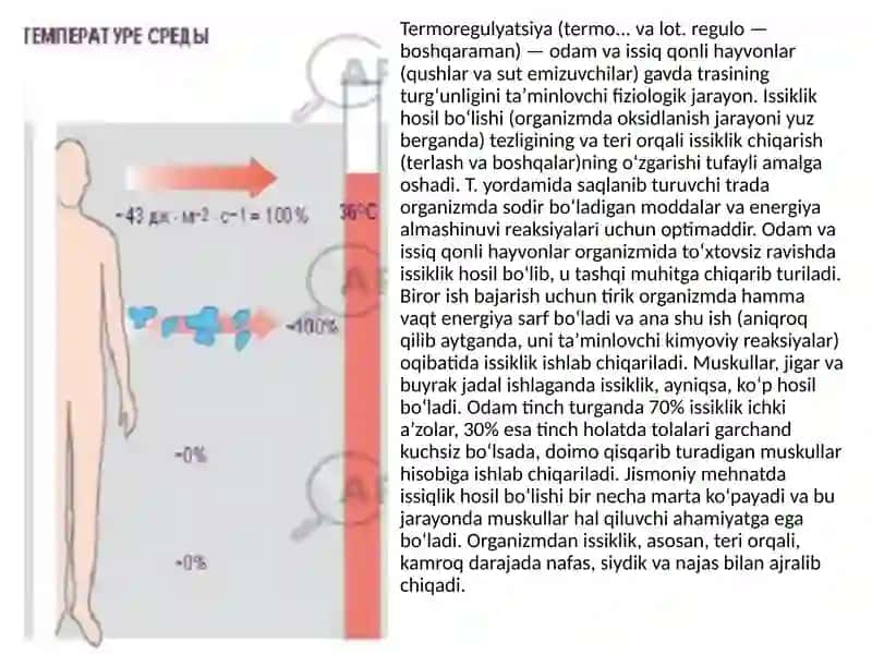 Issiqlik almashinuvi fiziologiyasi 2