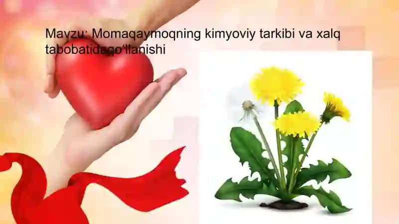 Momaqaymoq 2