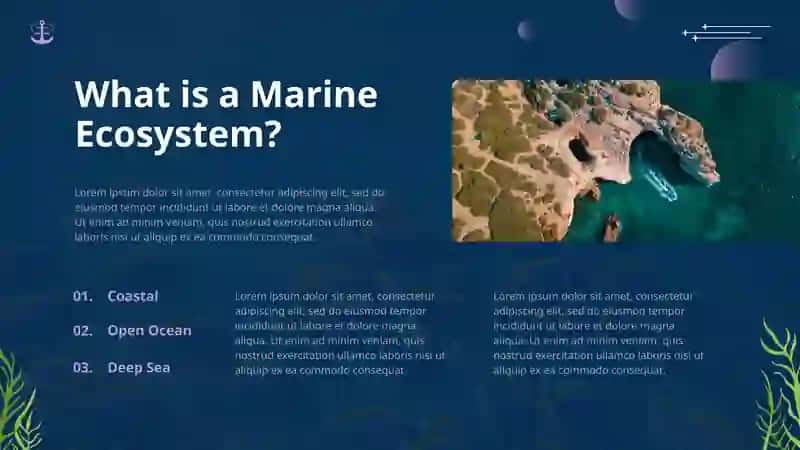 Marine Ecosystems 2