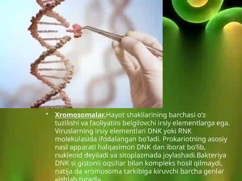 Hujayraning genetik elementlari 2