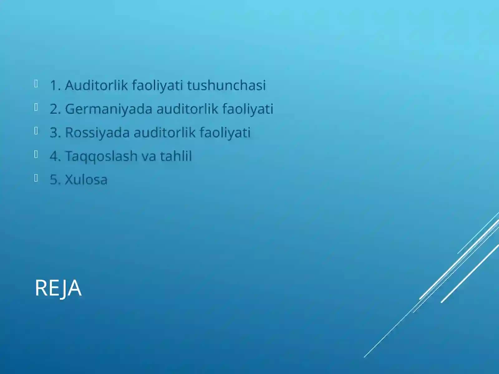 Auditorlik faoliyati 2