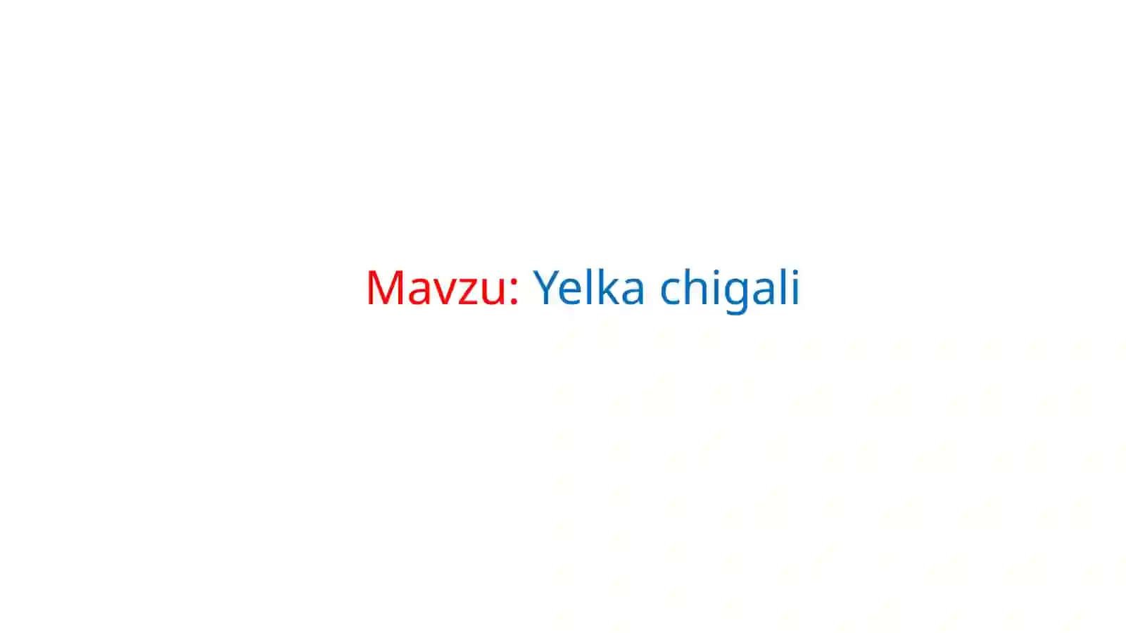 Yelkachigali PLEXUS BRACHIALIS 2