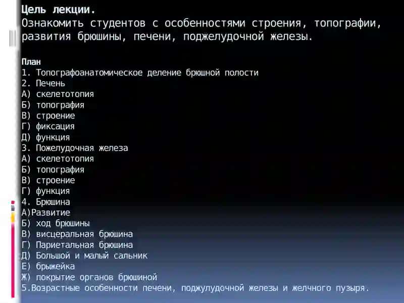 Топография брюшной полости 2