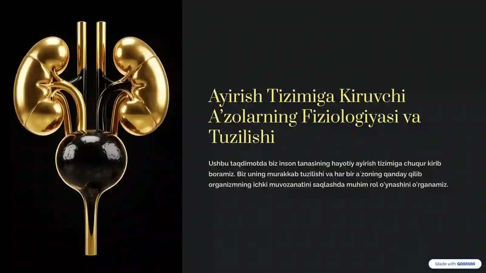 ANATOMIYA fanidan mustaqil taʼlim 2