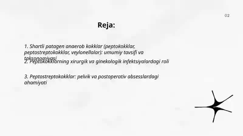 Shartli patagen anaerob kokklar (peptokokklar, peptostreptokokklar, veylonellalar) 2