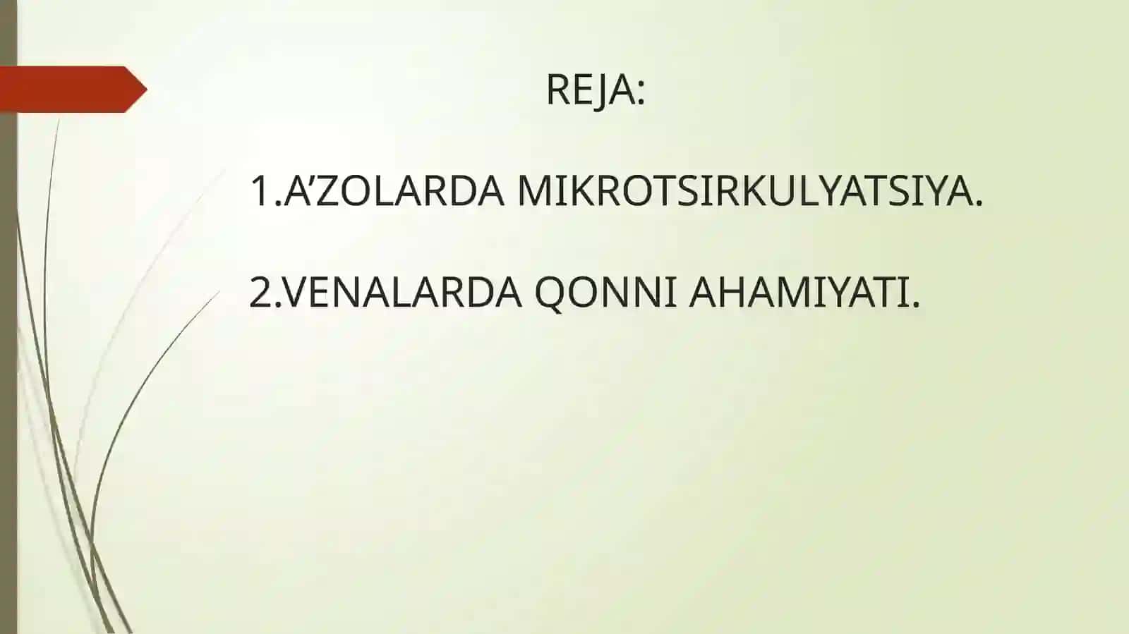 A'zolarda mikrotsirkulyatsiya. Vena'larda qonning ahamiyati 2