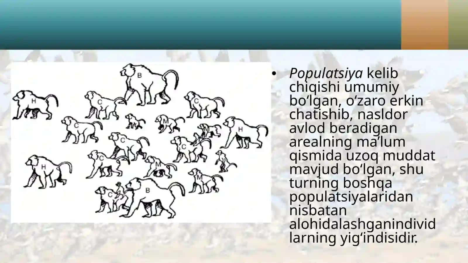 Populatsion strukturasining tushunchalari 2