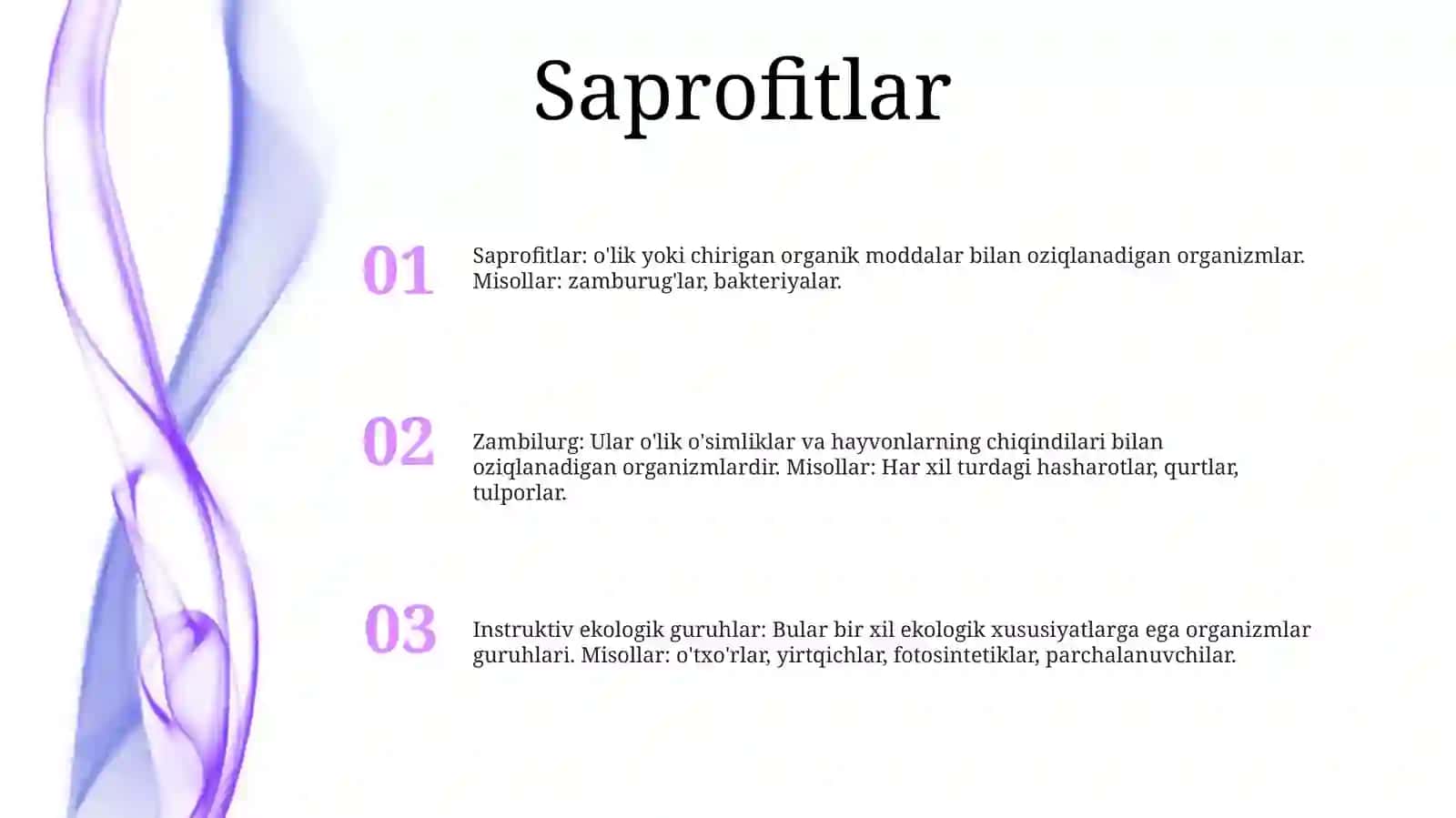 Zamburug'Larning Ekologik Guruhlari Va Asosiy Vakillari 2