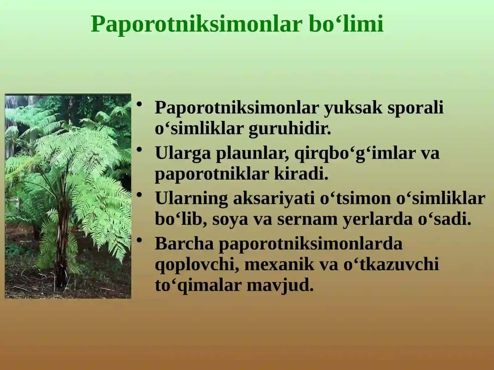 PAPOROTNIKLAR 2