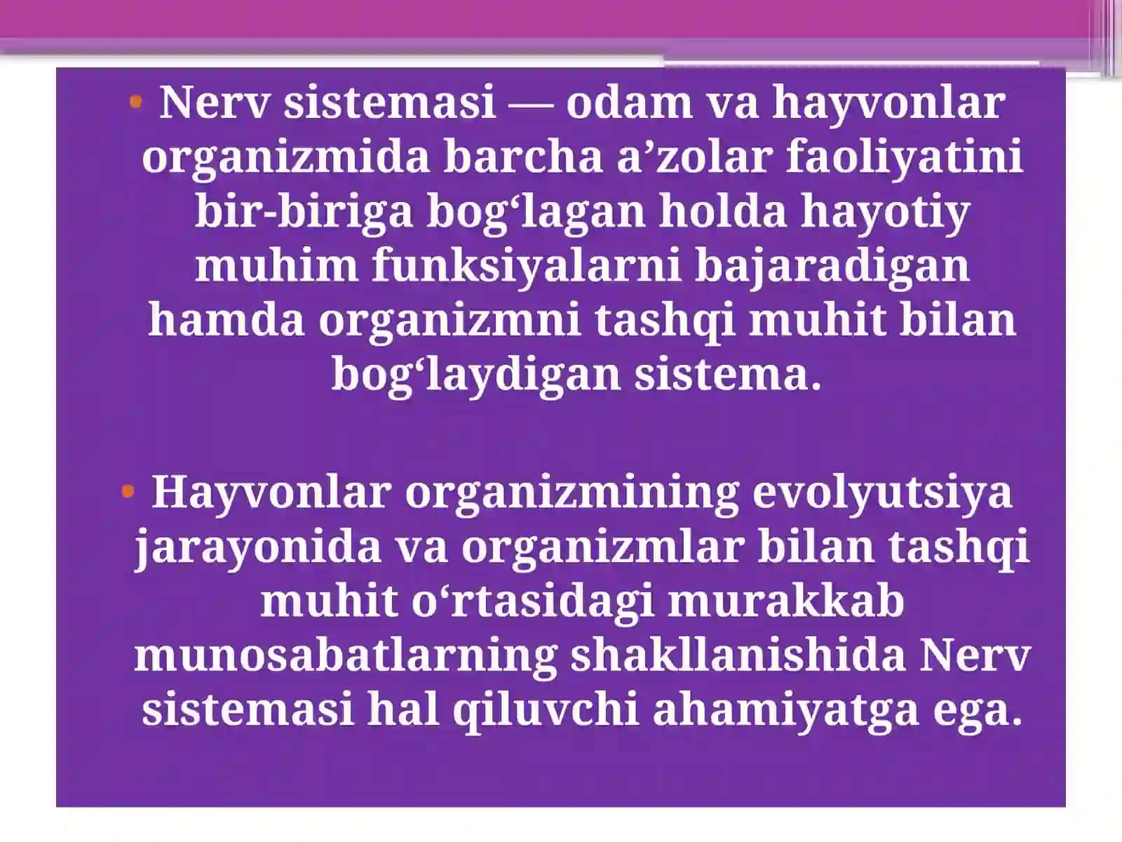 Mavzu: Nervsistemasi. Nerv to'dalari, sinapslar va nerv o'xirlari 2