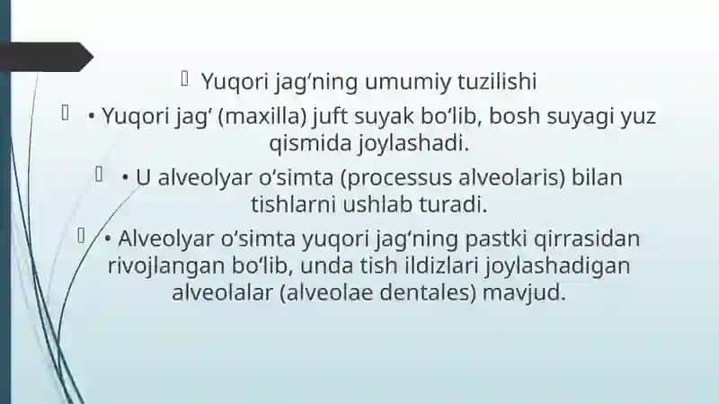 Yuqori jag’ tishlari bo’shlig’ining anatomik va topografik tuzulishi 2