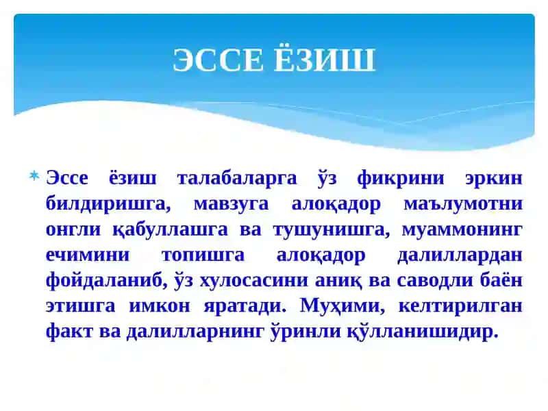 Эссе ёзиш талаблари 2