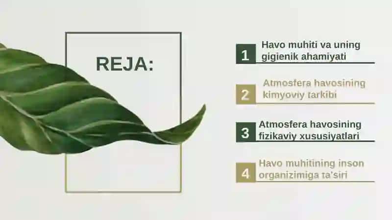 Havo muhiti va uning gigienik ahamiyati. Atmosfera havosining kimyoviy va fizikaviy tarkibining fiziologik va gigienik ahamiyati 2
