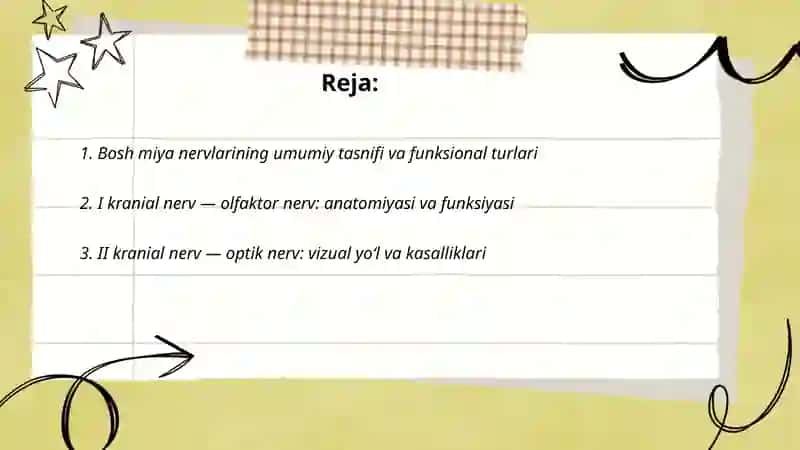 Bosh miya nervlari 2