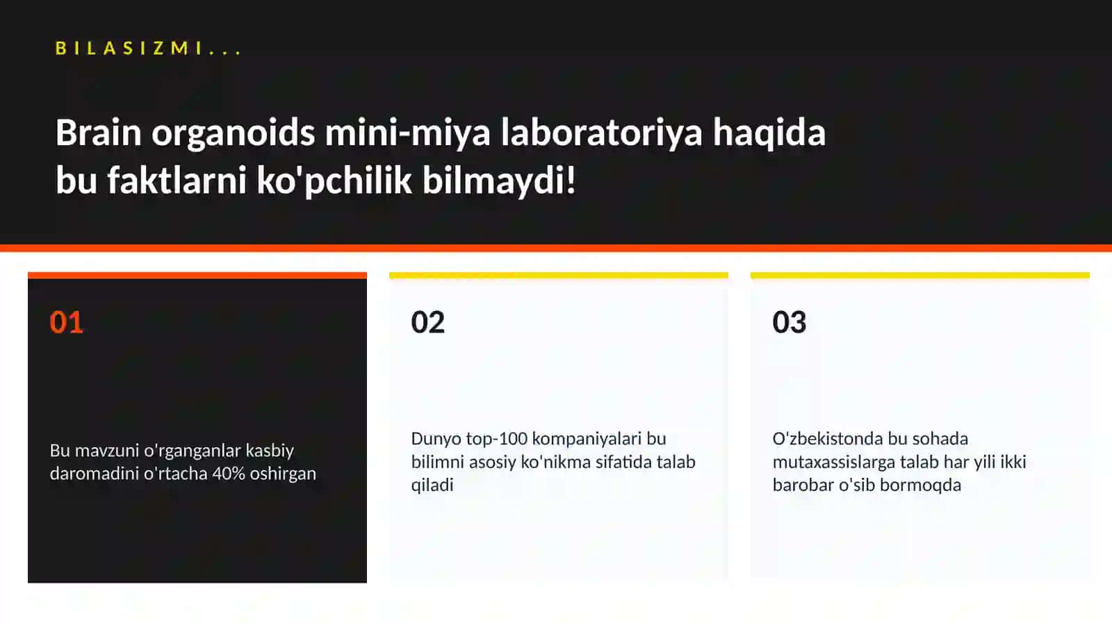 Brain organoids mini-miya laboratoriya 2