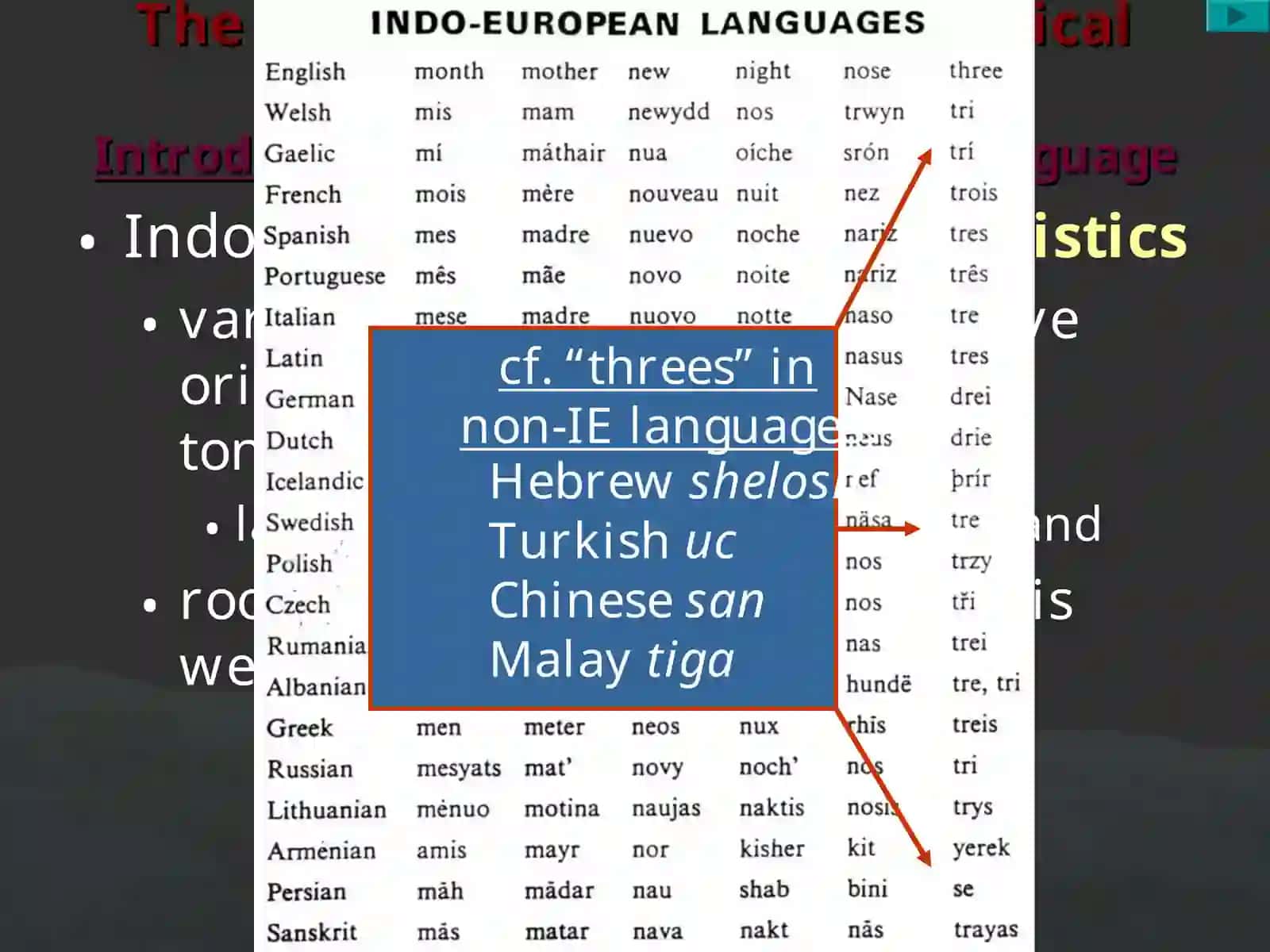 The Indo-Europeans and Historical Linguistics 2