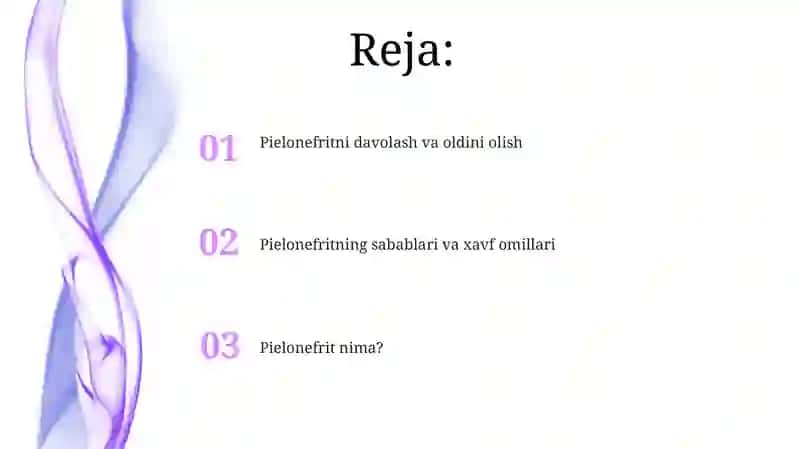 Piyelonefrit 2