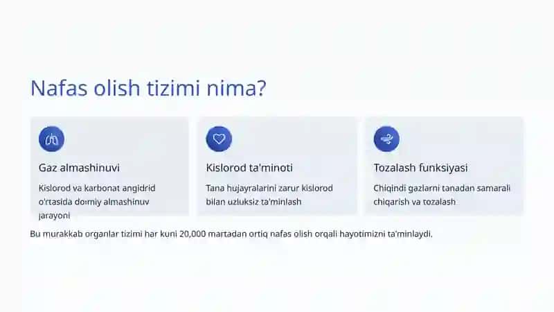 Nafas olish tizimi 2