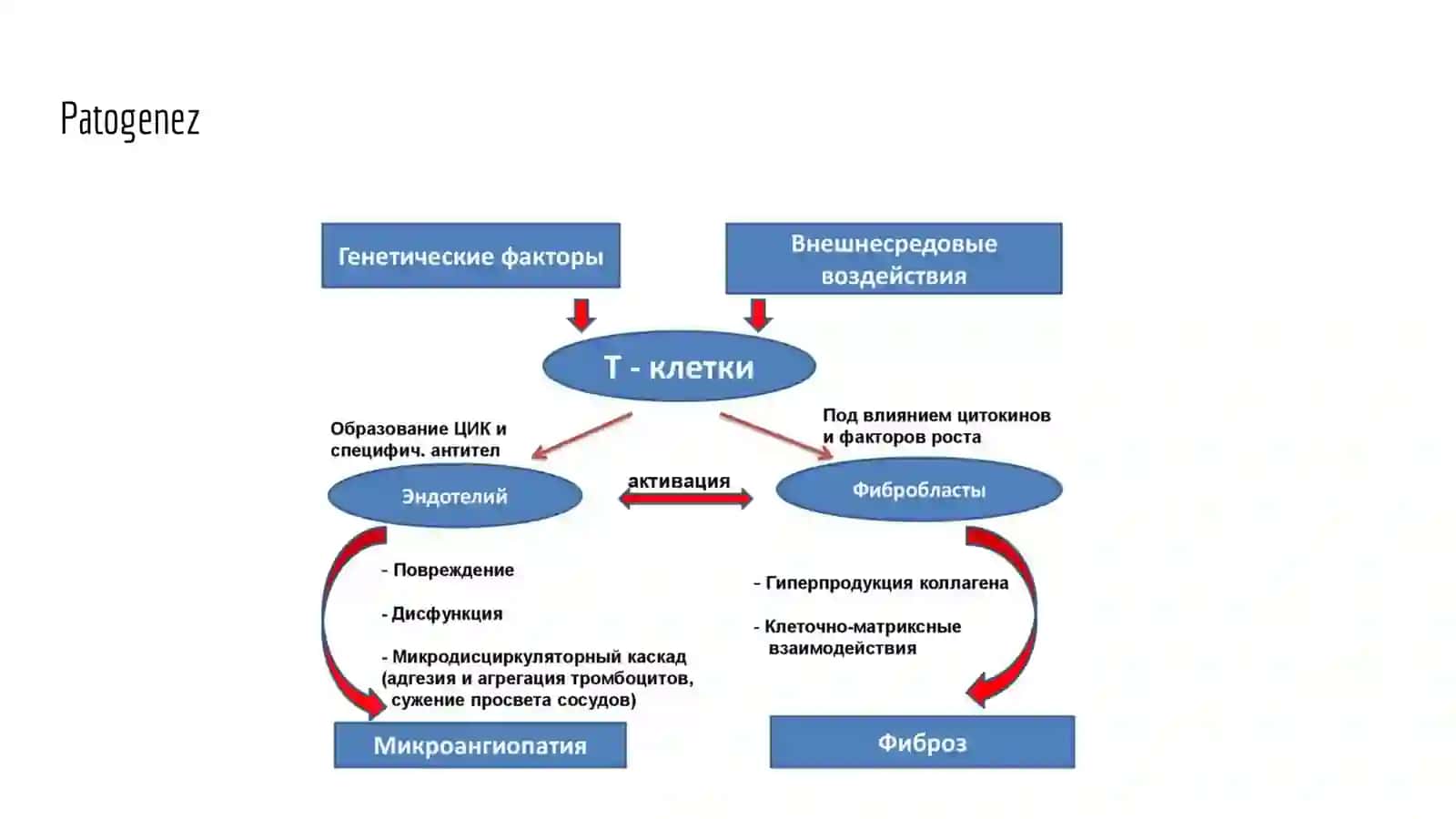 Tizimli sklerodermiya (1-variant) 2