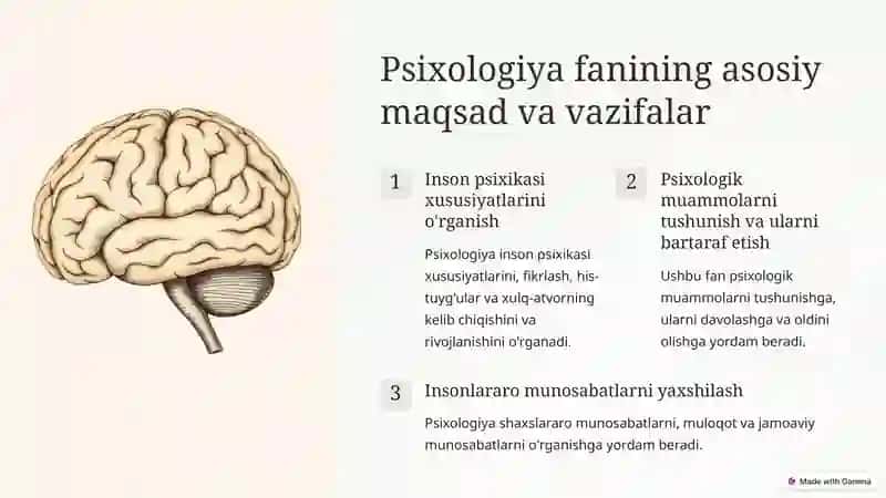 Psixologik bilimlar 2