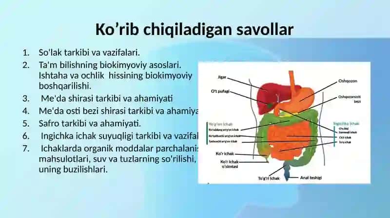 Oshqozon ichak mustaqil talim 2