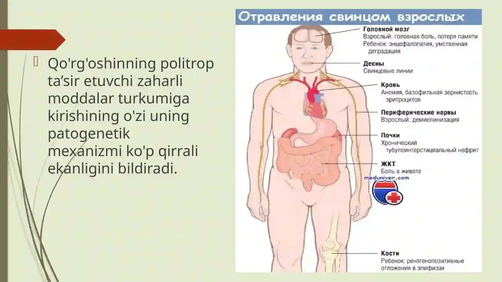 Qo'rg'oshindanzaharlanish patogenezi 2