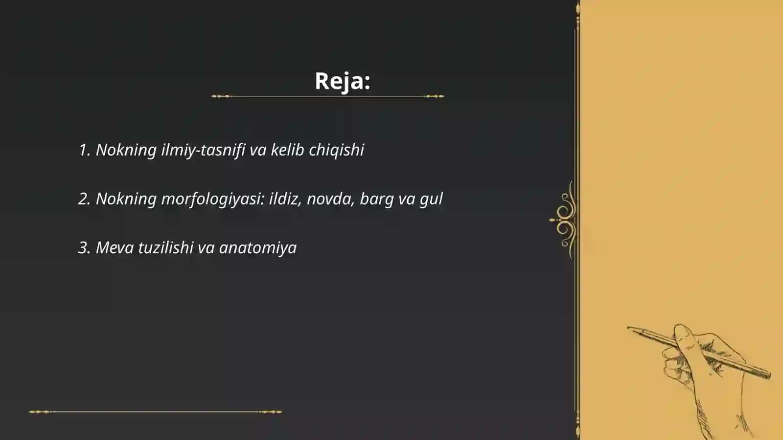 Nok bialogiyasi haqida umumiy maʼlumot 2