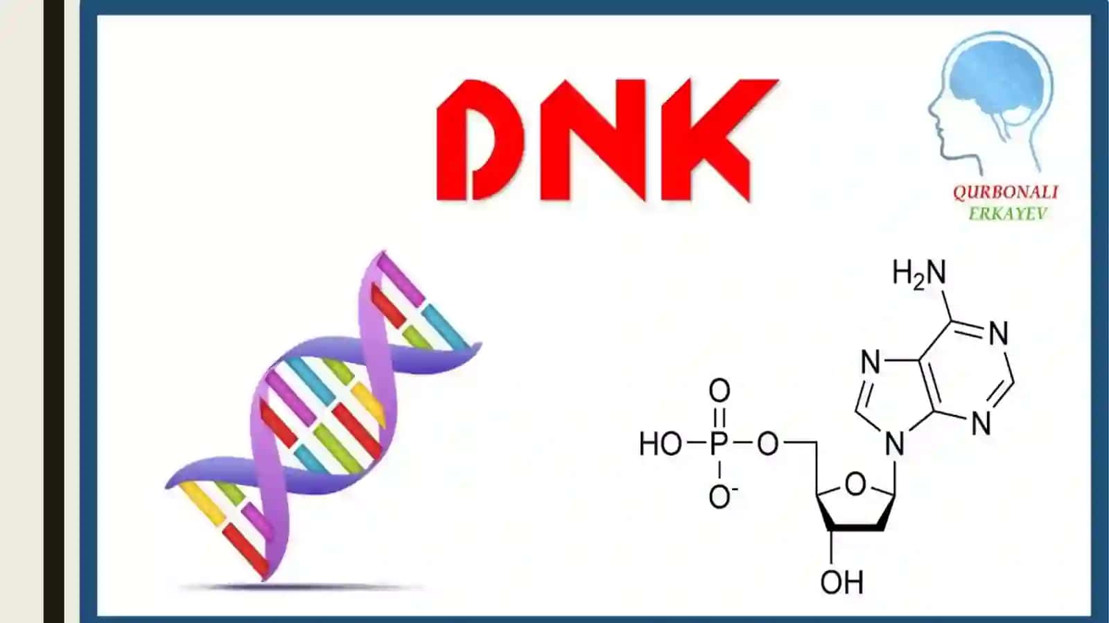 Irsiyatning molukulyar asoslari. DNK va RNK sintezi 2