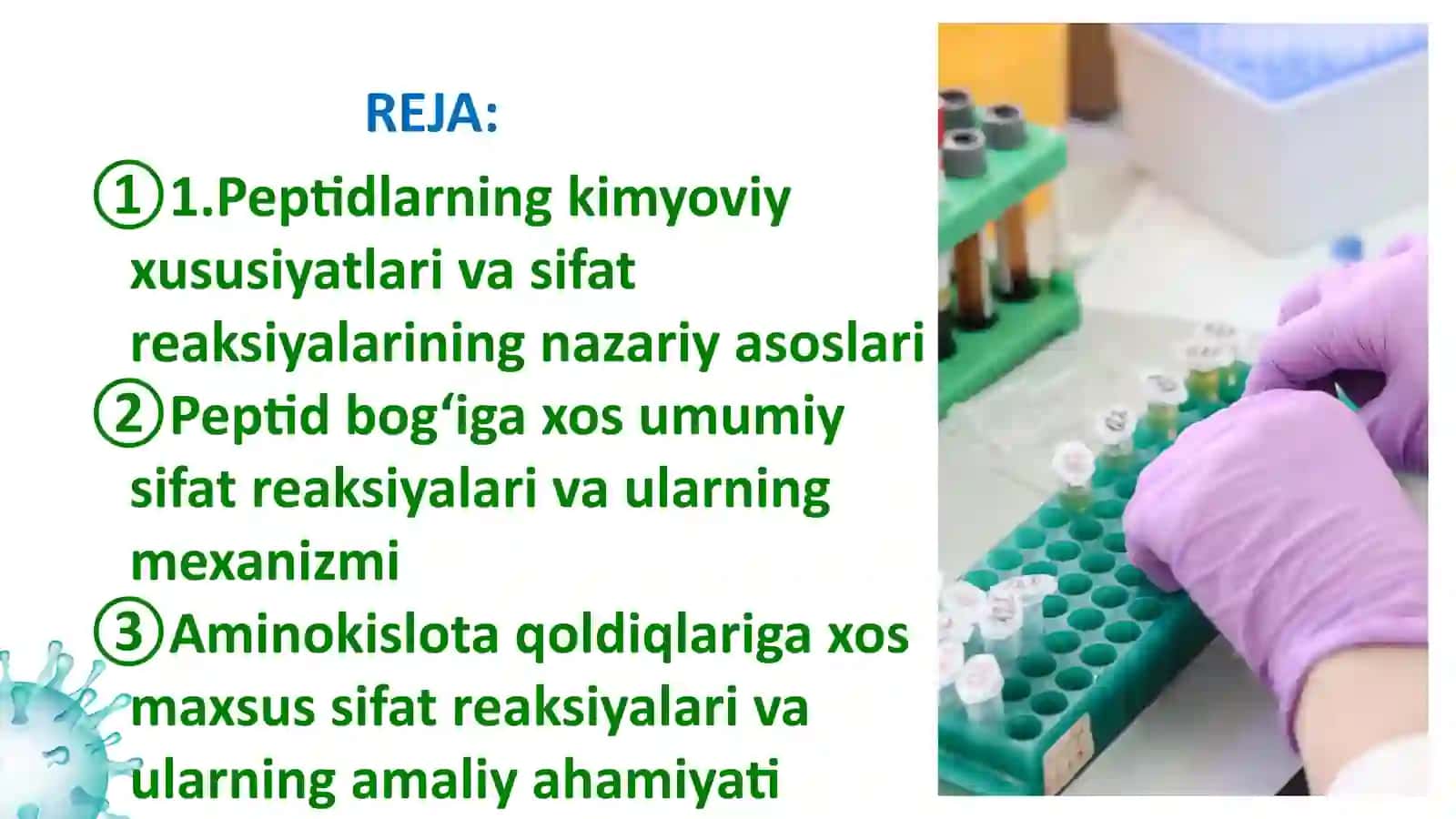 Peptidlarning sifat reaksiyalari. 2